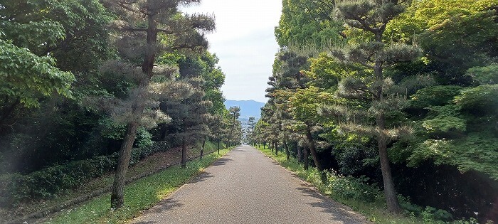 京都　伏見桃山陵からの帰り道